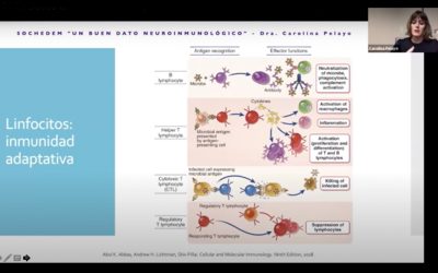 Primer encuentro web “Aperitivo Neuroinmunológico más un buen dato en Neuroinmunología”