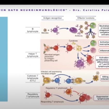 Primer encuentro web “Aperitivo Neuroinmunológico más un buen dato en Neuroinmunología”