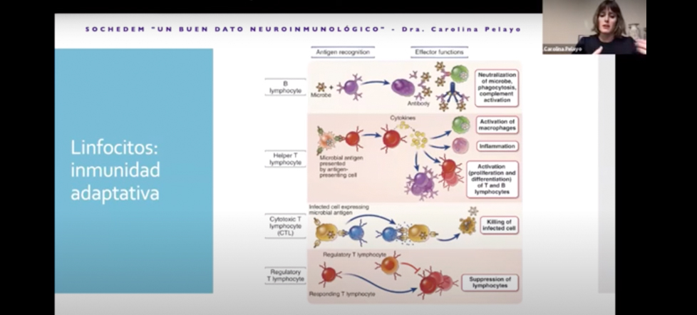 encuentro-web-aperitivo neuroinmunológico
